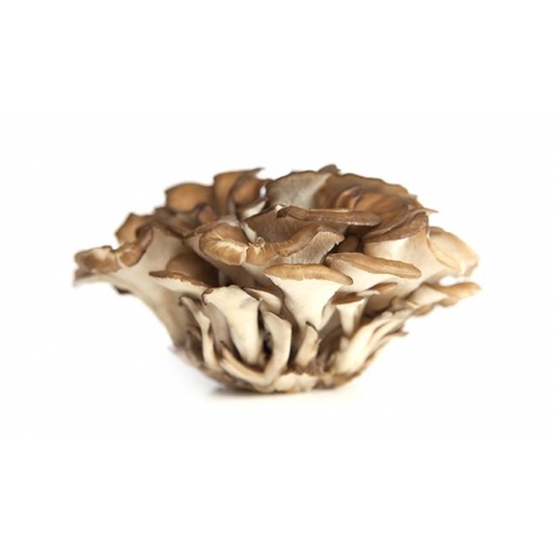 MAITAKE 60 CAPSULE